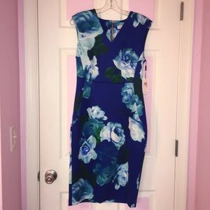 Calvin Klein Dress